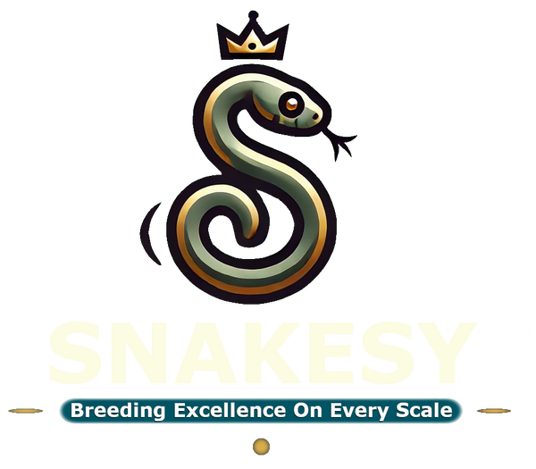 Snakesy